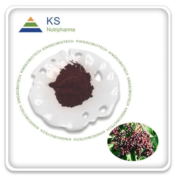 Chiết xuất quả cơm cháy