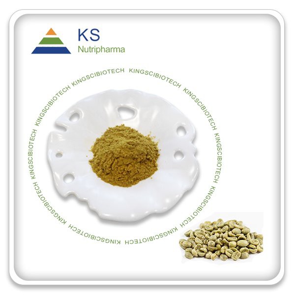 Bột axit chlorogenic