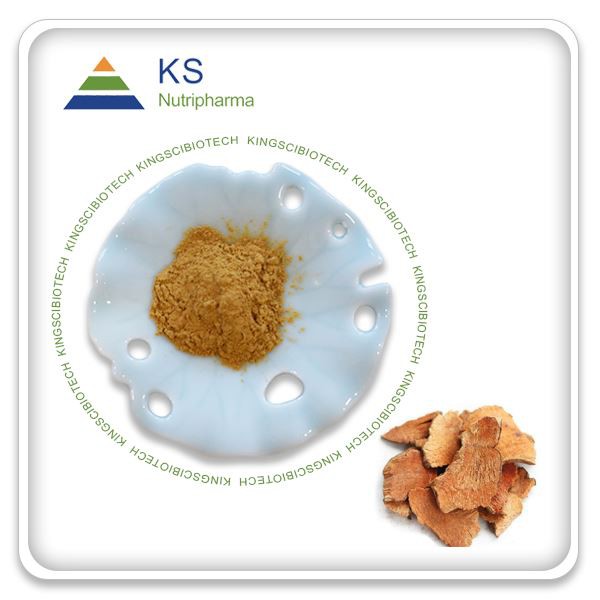 Chiết xuất rễ Smilax