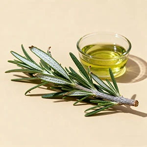 Rosmarinus officinalis Leaf Extract là gì?