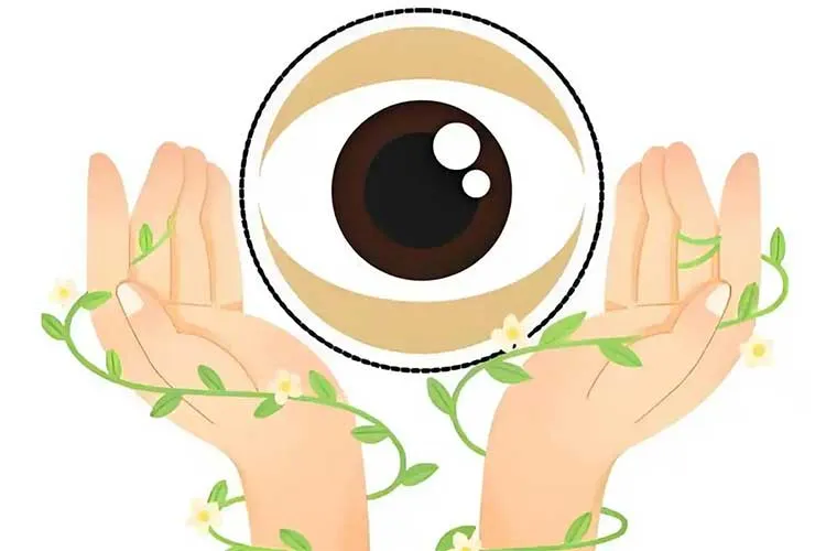 Eye-Function