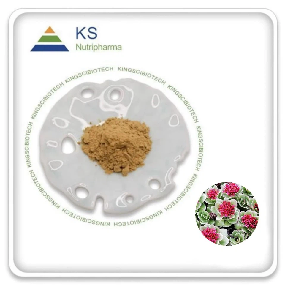 Chiết xuất Rhodiola Crenulata