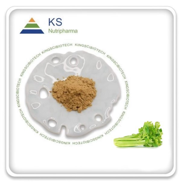 Chiết xuất Apium Graveolens