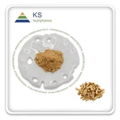 Chiết xuất Codonopsis