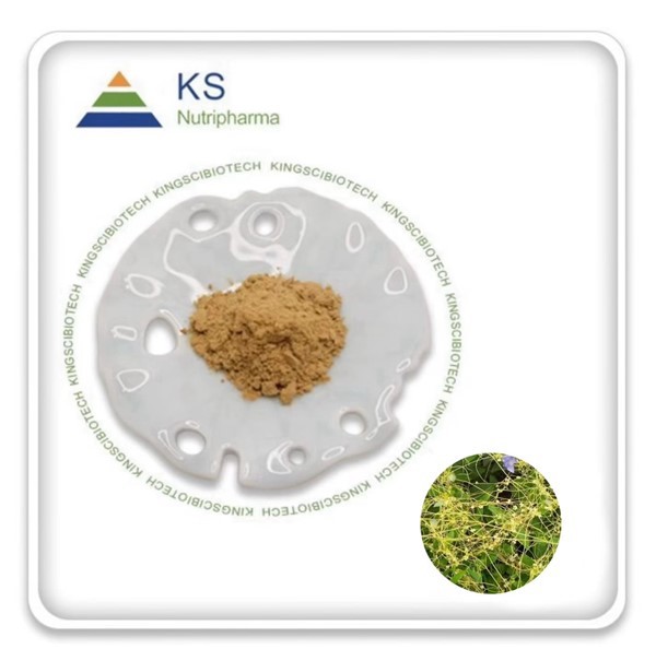 Chiết xuất tơ hồng